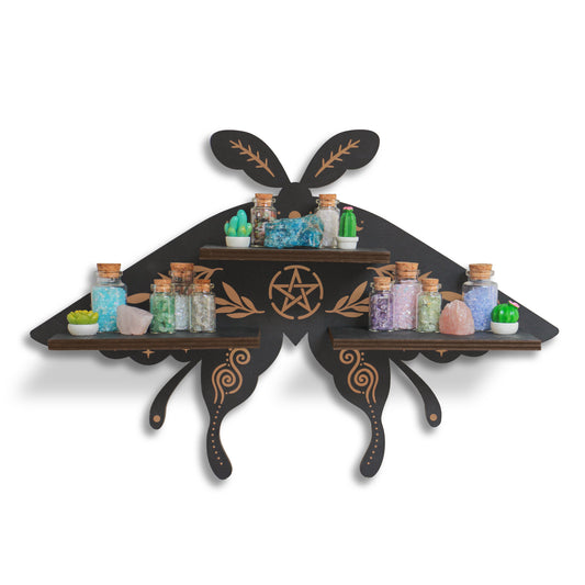FNYDOX Trinket Shelf (Moth)