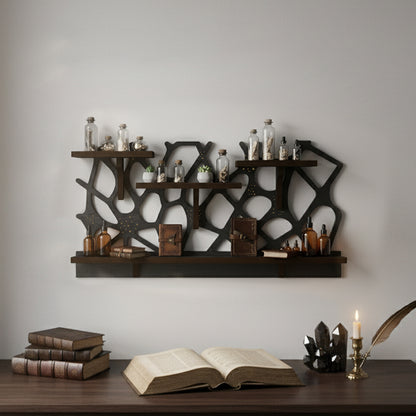 Spider Web Floating Shelf - FNYDOXGI Gothic Halloween Hanging Shelf with Hooks for Wall Oddities and Curiosities - Black Spooky Goth Wall Decor for Kitchen and Home - Crystal Display Shelf for Stones