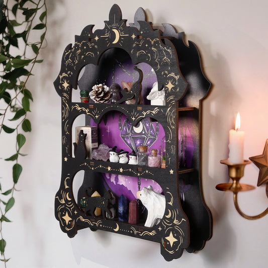 FNYDOX Knick Knack Shelf