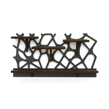 Spider Web Floating Shelf - FNYDOXGI Gothic Halloween Hanging Shelf with Hooks for Wall Oddities and Curiosities - Black Spooky Goth Wall Decor for Kitchen and Home - Crystal Display Shelf for Stones