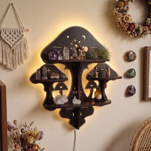 FNYDOX Witchy Mushroom Floating Shelf with Lights